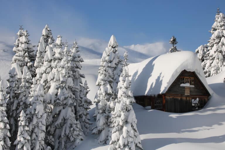 Ski, Surf, MTB & kitesurfrejser