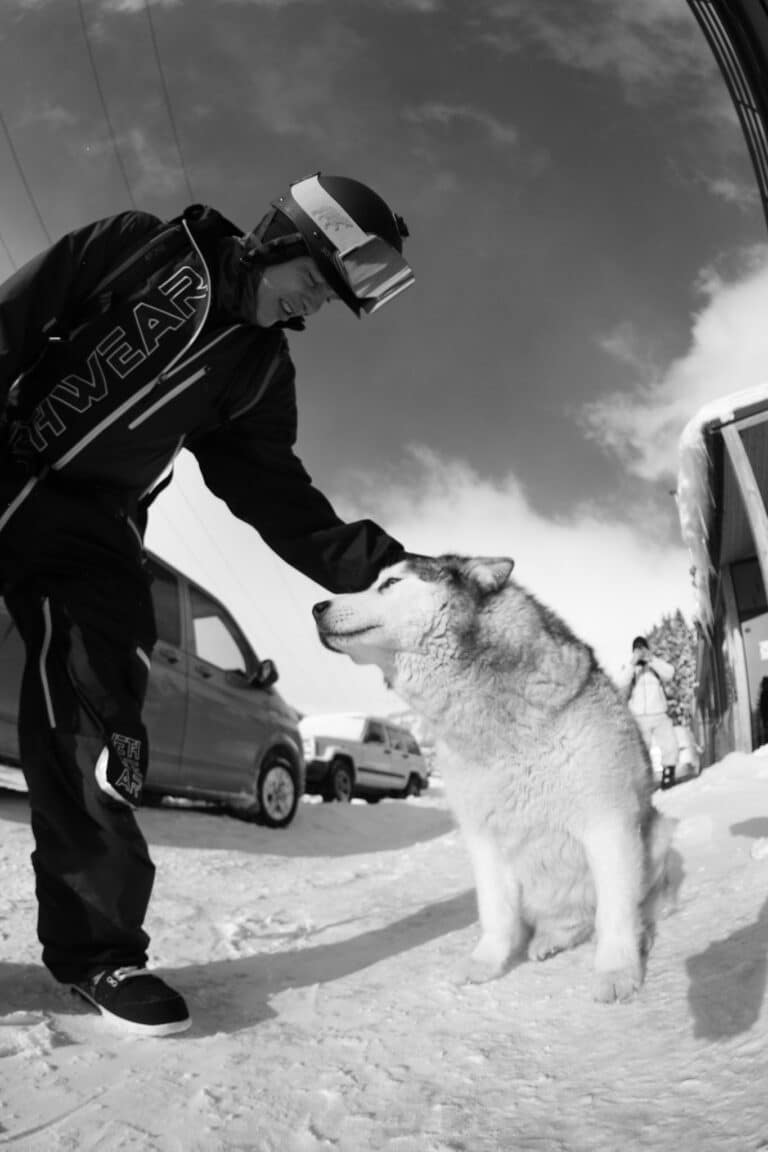 Ski, Surf, MTB & kitesurfrejser