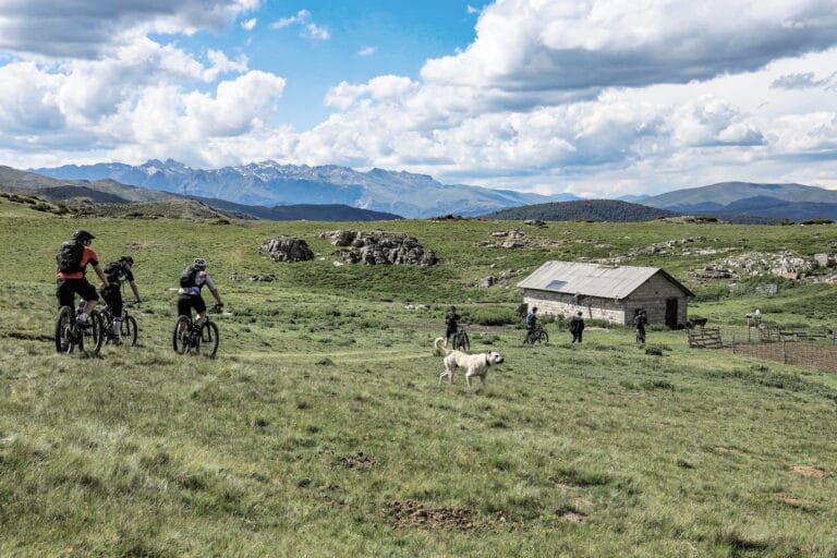 Ski, Surf, MTB & kitesurfrejser