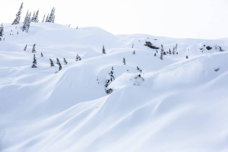Ski, Surf, MTB & kitesurfrejser
