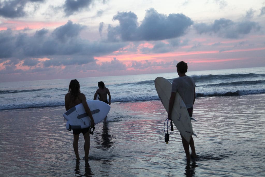 Ski, Surf, MTB & kitesurfrejser