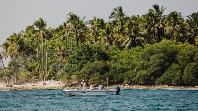 Uforglemmelige rejser Ski, Surf, MTB & kitesurfrejser