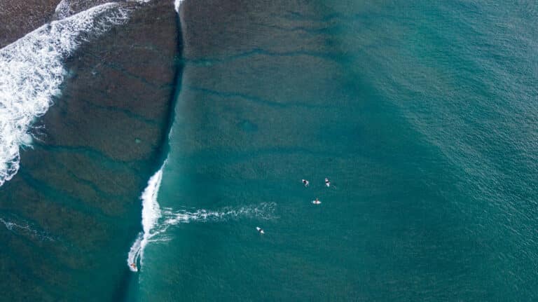 DBP Adventures the search surf