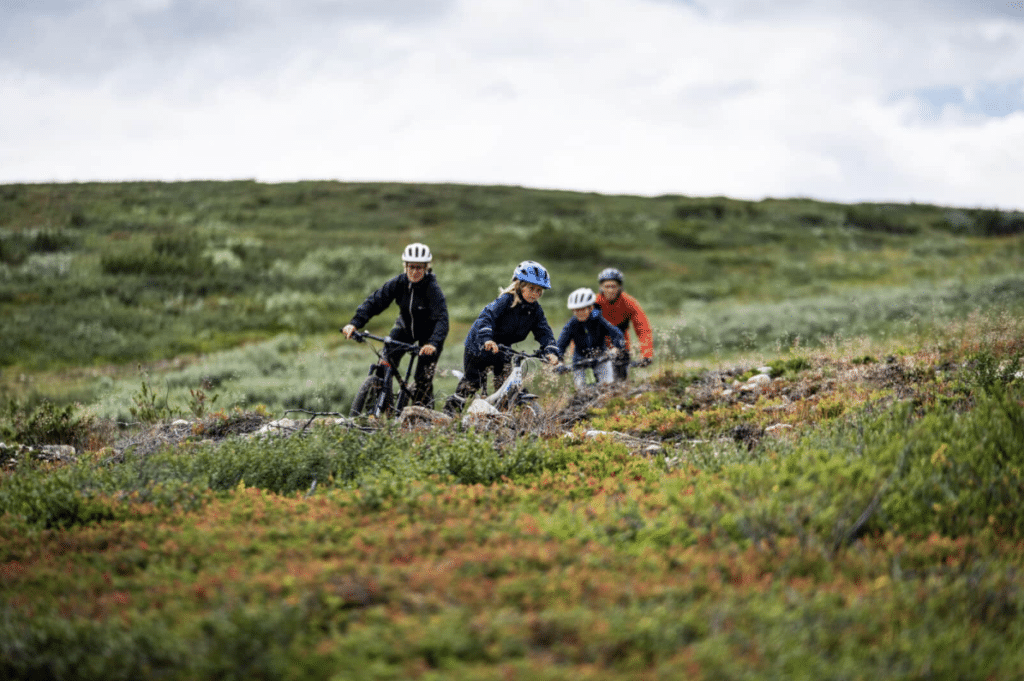 Familie Mountainbike