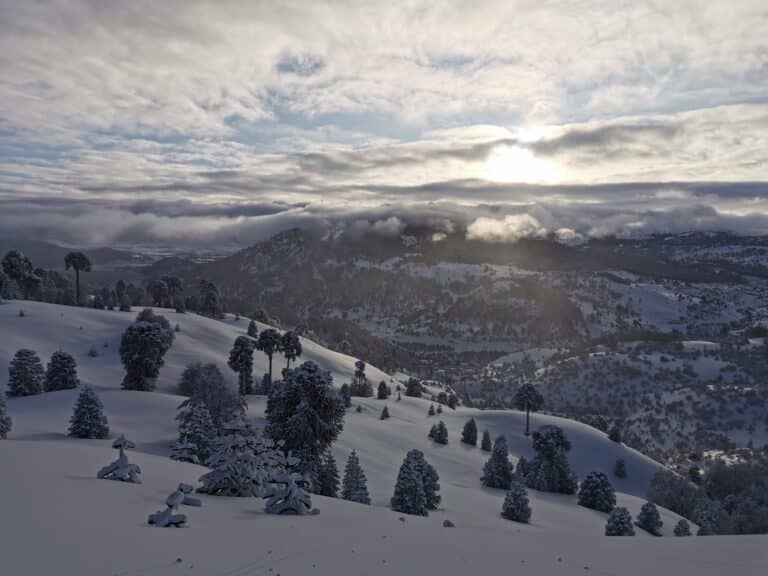 Ski, Surf, MTB & kitesurfrejser