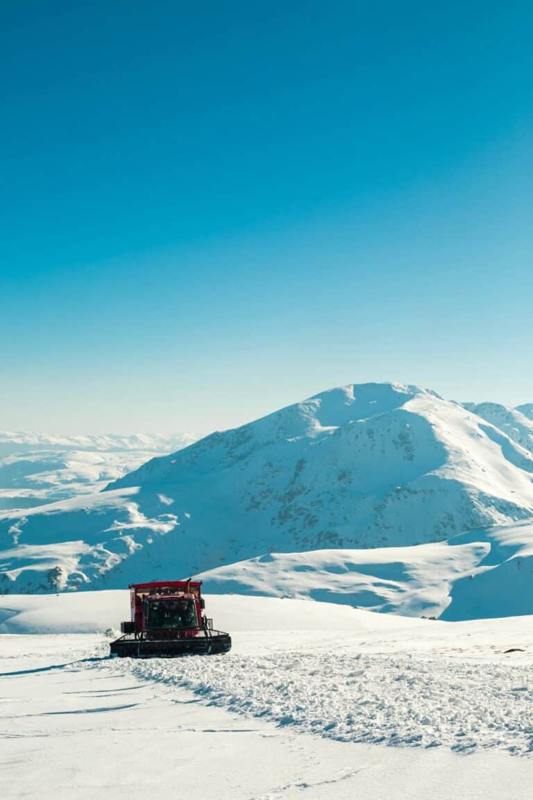 Ski, Surf, MTB & kitesurfrejser