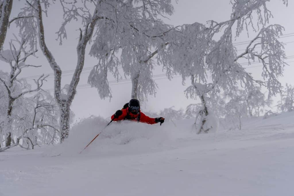 Ski, Surf, MTB & kitesurfrejser