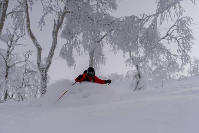 Ski, Surf, MTB & kitesurfrejser