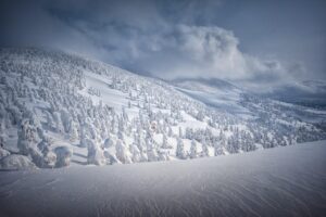 Ski, Surf, MTB & kitesurfrejser
