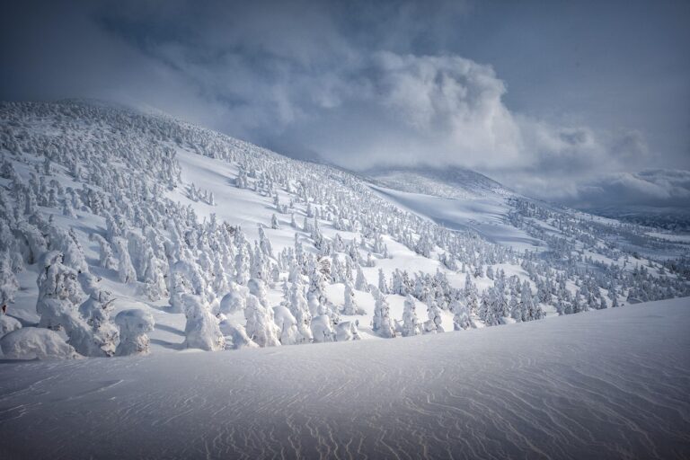 Ski, Surf, MTB & kitesurfrejser