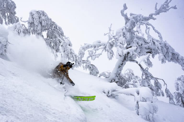Ski, Surf, MTB & kitesurfrejser