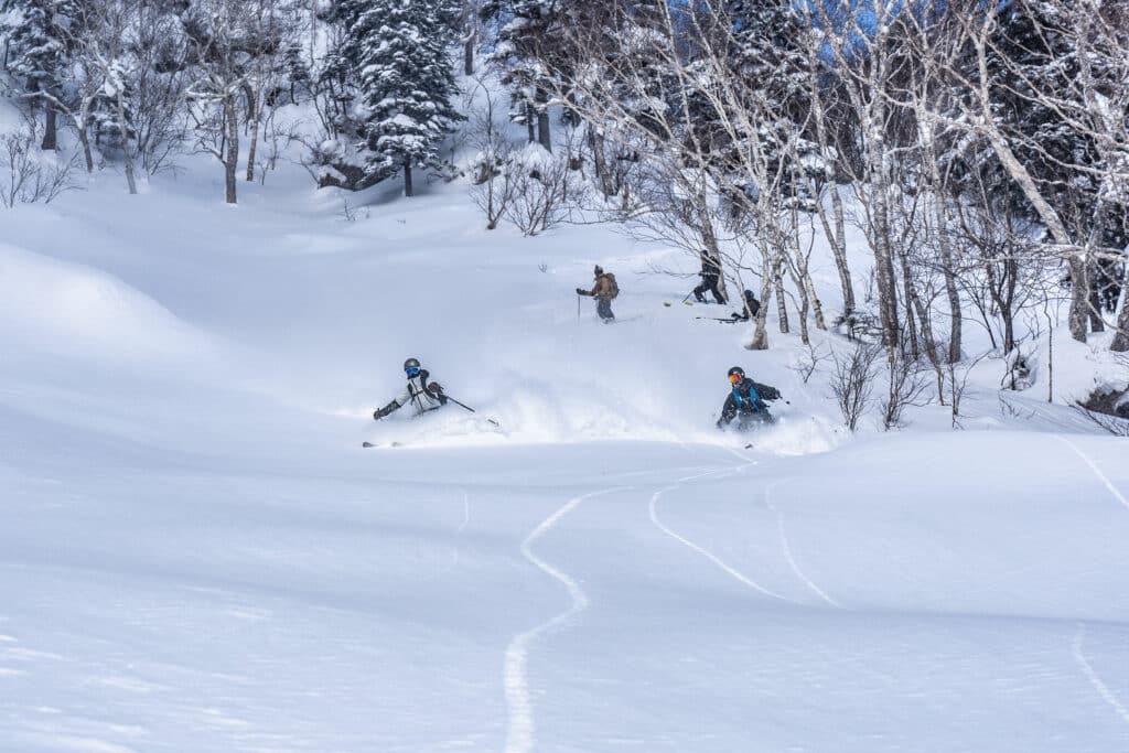 Ski, Surf, MTB & kitesurfrejser