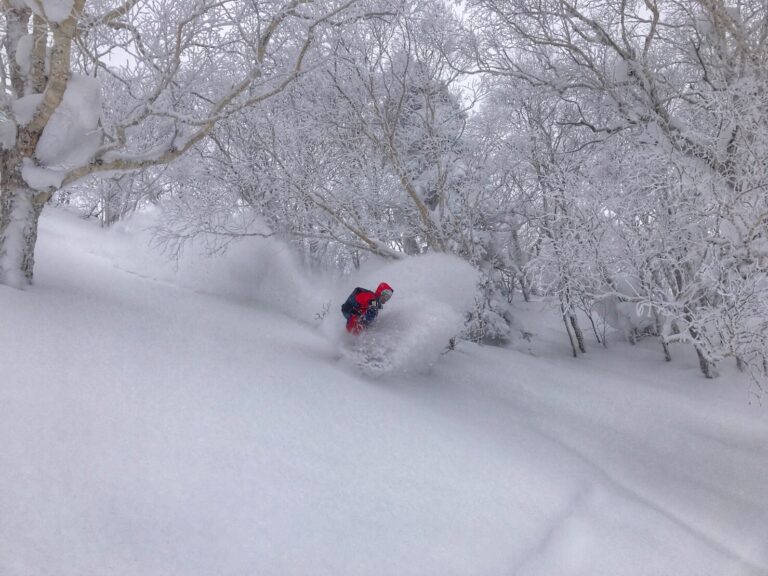Ski, Surf, MTB & kitesurfrejser