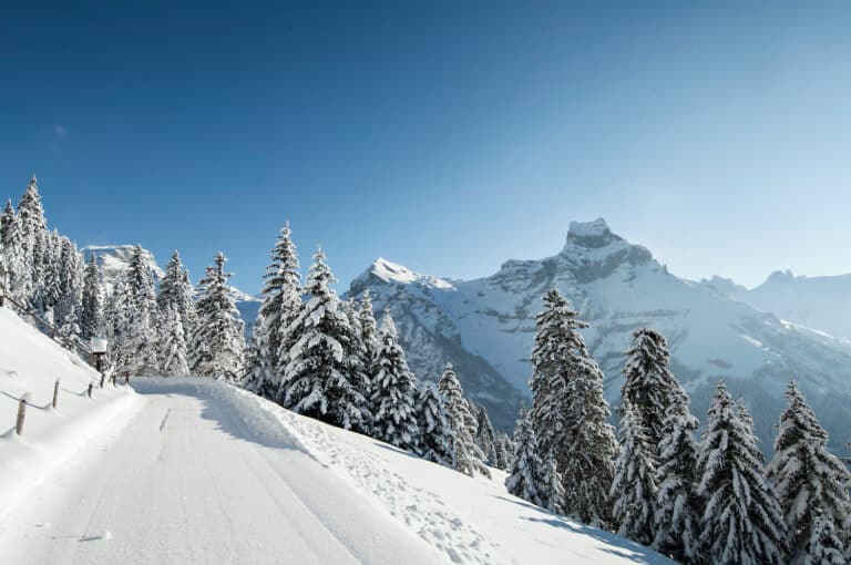Ski, Surf, MTB & kitesurfrejser