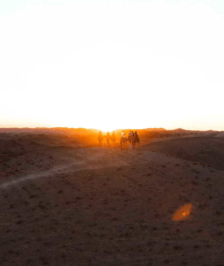 Ski, Surf, MTB & kitesurfrejser