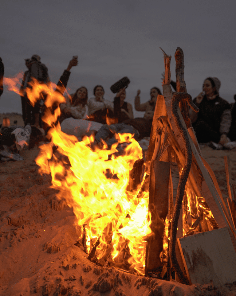 Ski, Surf, MTB & kitesurfrejser