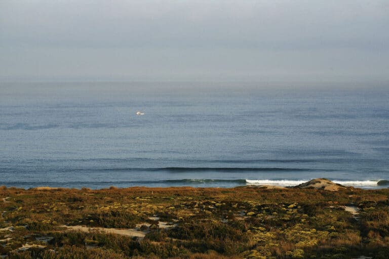 Ski, Surf, MTB & kitesurfrejser
