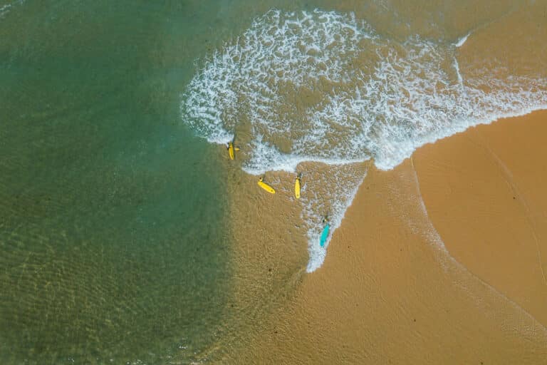 Ski, Surf, MTB & kitesurfrejser