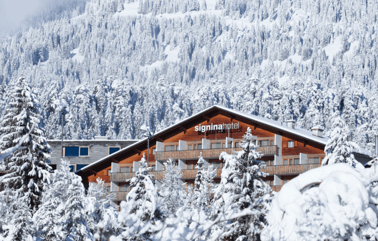 Ski, Surf, MTB & kitesurfrejser