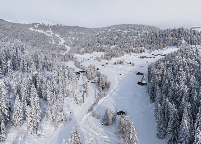 Ski, Surf, MTB & kitesurfrejser