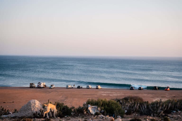 Ski, Surf, MTB & kitesurfrejser