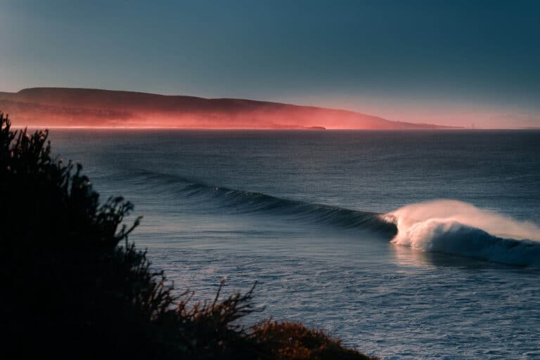 Ski, Surf, MTB & kitesurfrejser
