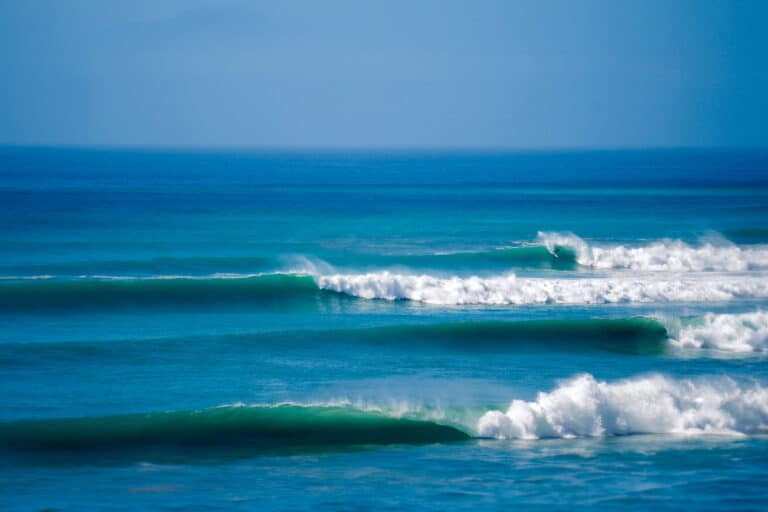 Ski, Surf, MTB & kitesurfrejser