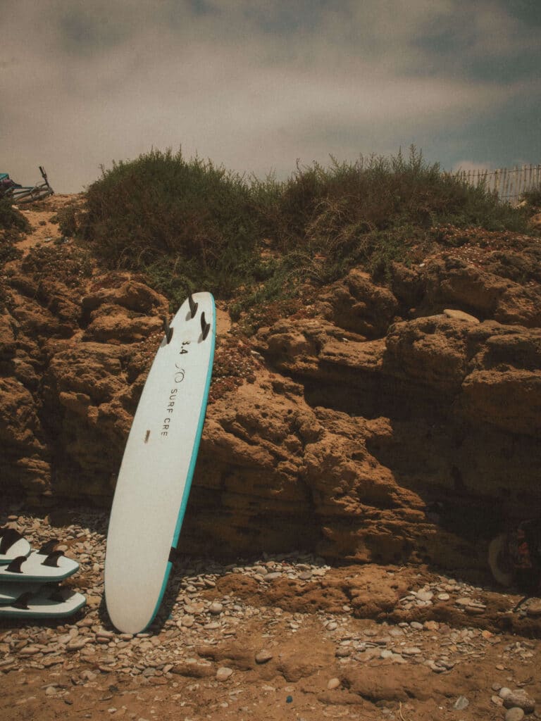 Ski, Surf, MTB & kitesurfrejser