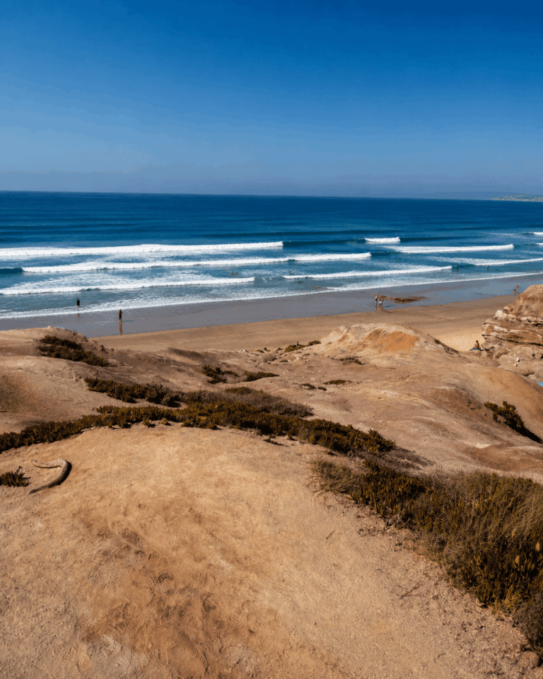 Ski, Surf, MTB & kitesurfrejser
