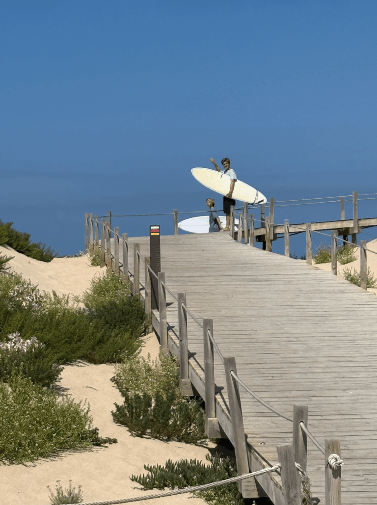 Ski, Surf, MTB & kitesurfrejser