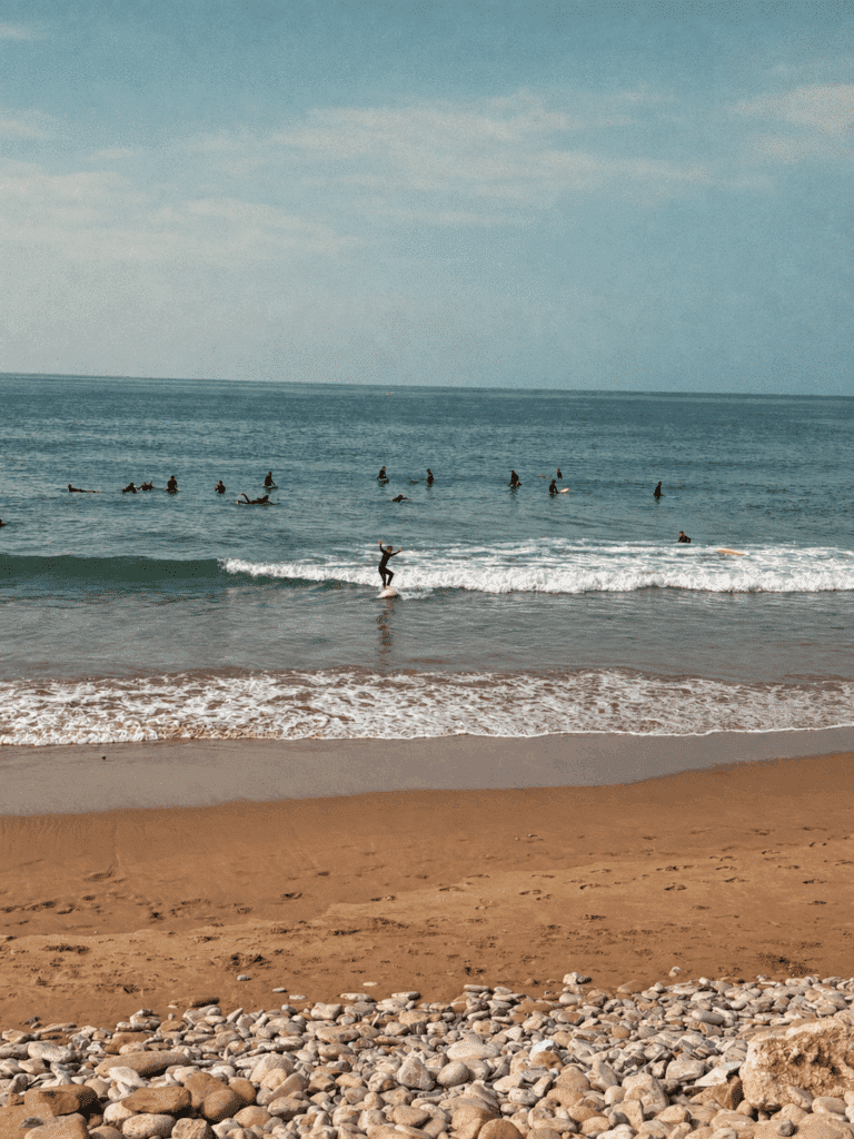 Ski, Surf, MTB & kitesurfrejser